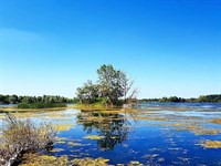 Mollaköy Göletleri