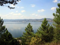 Sakarya İl Ormanı Tabiat Parkı